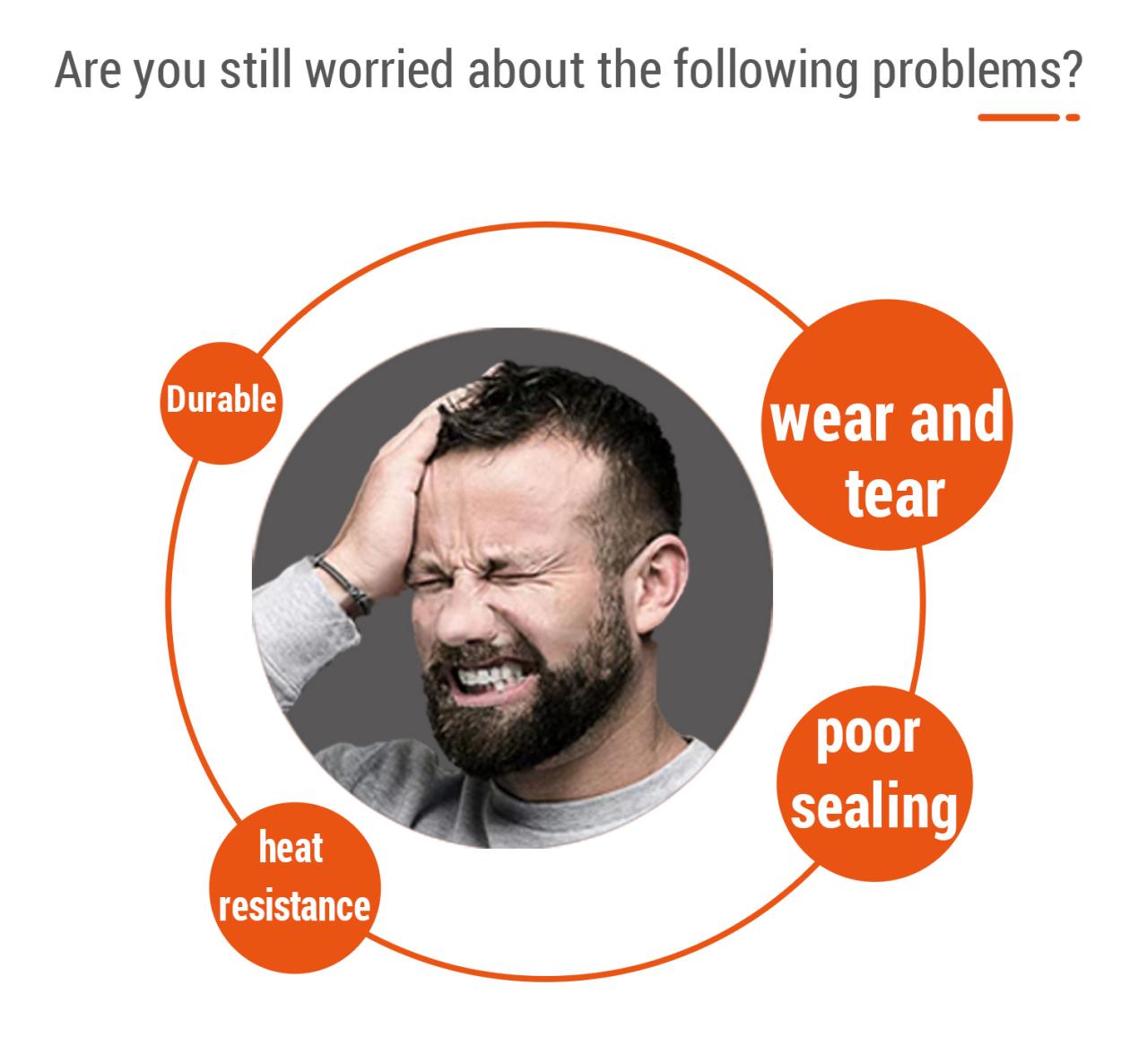 20.5 मिमी लेजर सीलिंग रिंग